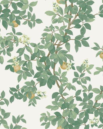 14240 Imaginarium Orange Tree Cream Green