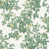 14240 Imaginarium Orange Tree Cream Green