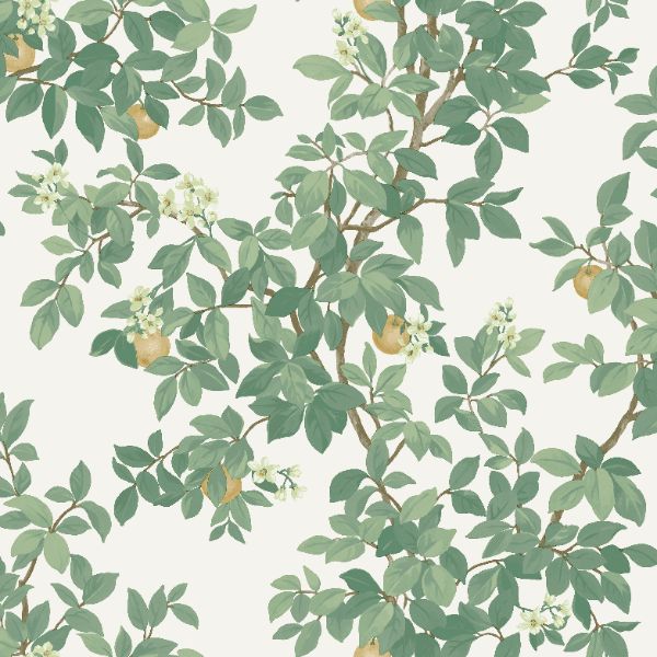 14240 Imaginarium Orange Tree Cream Green