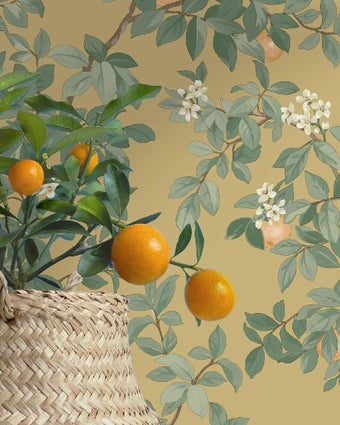 14241 Imaginarium Orange Tree Ochre