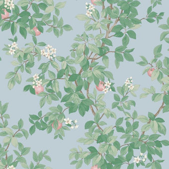 14243 Imaginarium Orange Tree Sky Blue