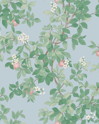14243 Imaginarium Orange Tree Sky Blue