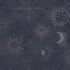 14251 Imaginarium Cosmic Navy Silver