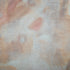 Artist 27296 Informel Cotto