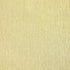 27537 Yuuma Shingo Lime