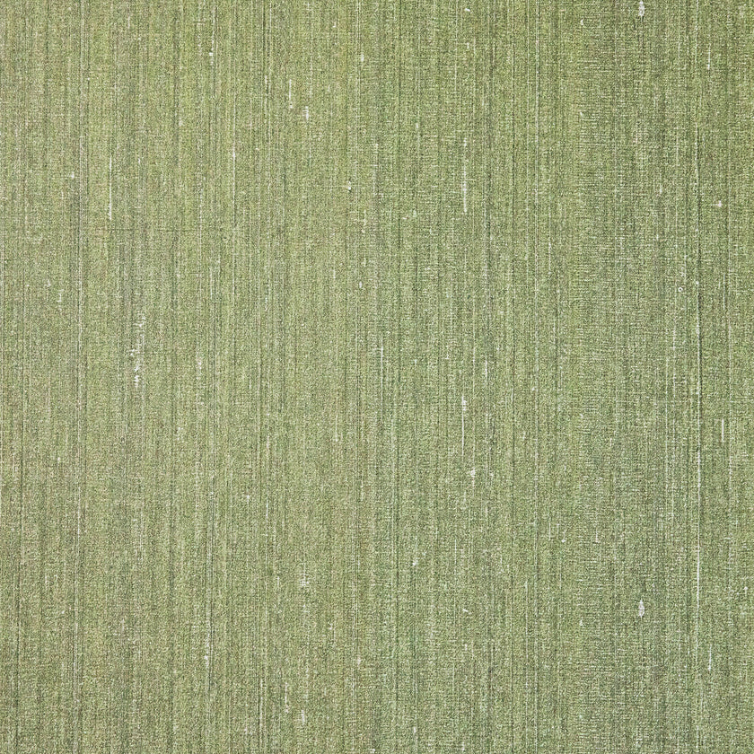 27538 Yuuma Shingo Avocado