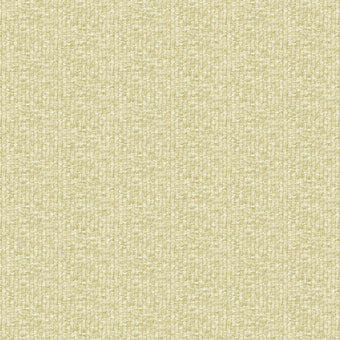 27547 Yuuma Taro Lime