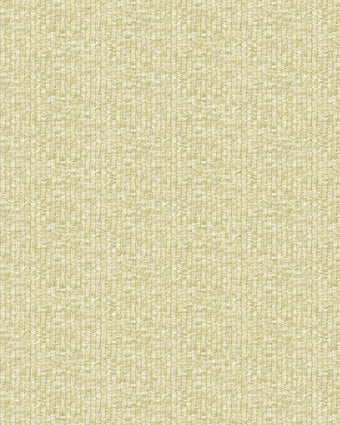 27547 Yuuma Taro Lime