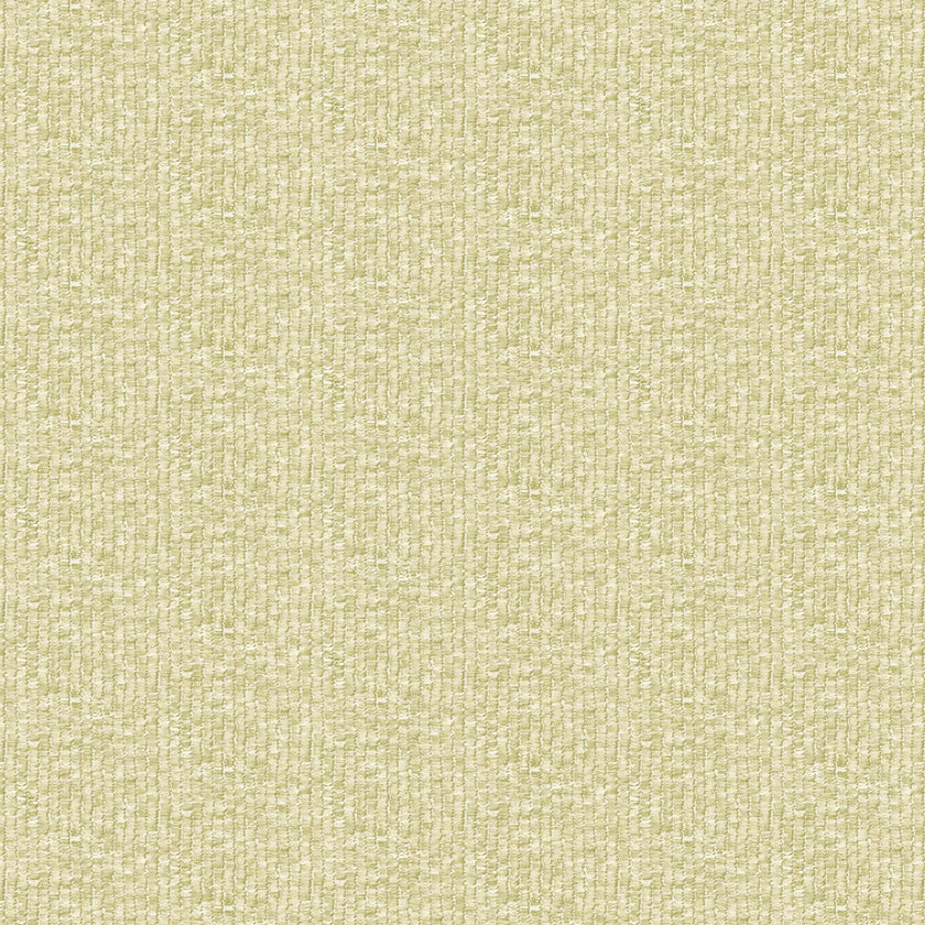 27547 Yuuma Taro Lime