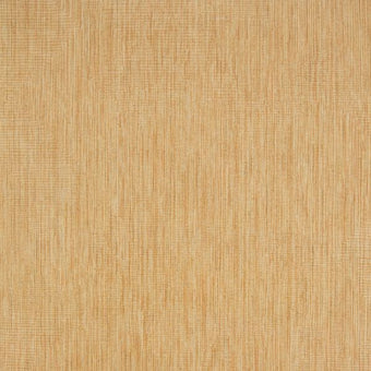 27613 Cerra Rio Gold