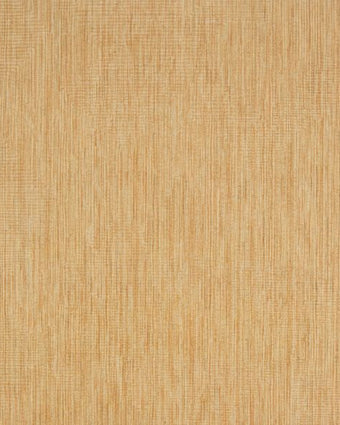 27613 Cerra Rio Gold