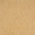 27613 Cerra Rio Gold