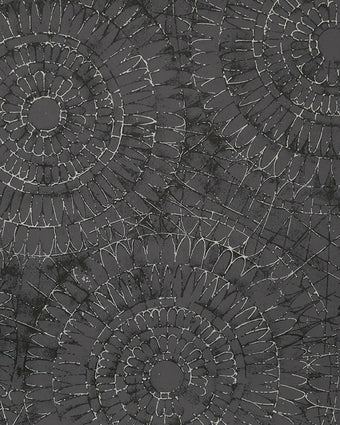 Chalk 65569 Notre Dame Grey
