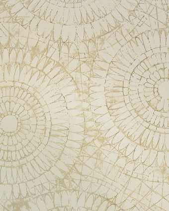 Chalk 65573 Notre Dame Vanilla