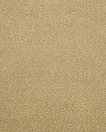 65586 Tesoro Punto Giallo