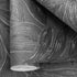 65797 Line and Leaf Fern Anthracite