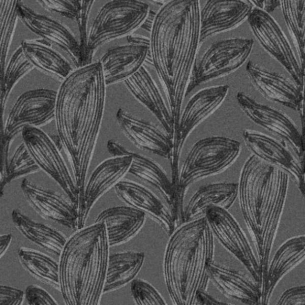 65797 Line and Leaf Fern Anthracite