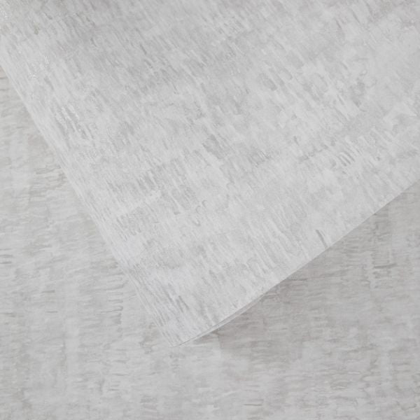 65837 Marea Sombra Fossil
