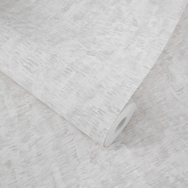65837 Marea Sombra Fossil