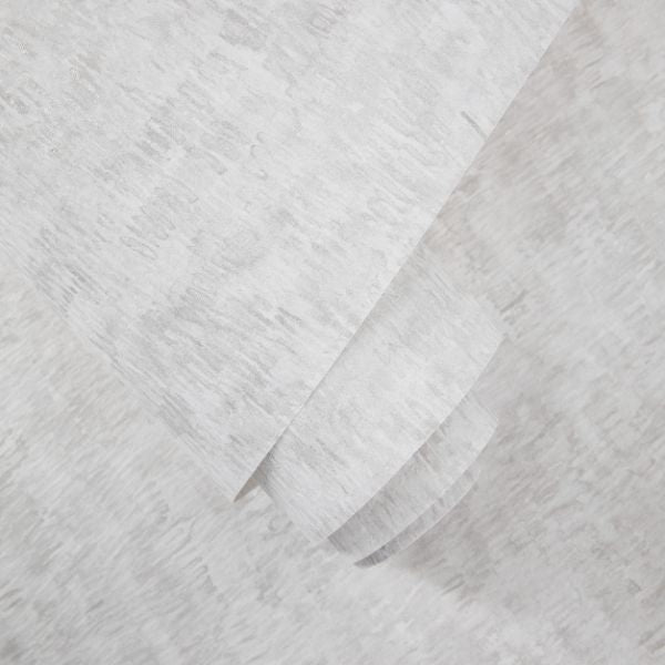 65837 Marea Sombra Fossil