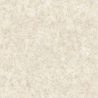 66061 Sahara Tassili Ivory