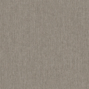 66133 Textura Pique Charcoal