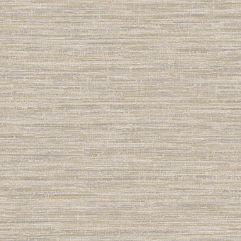 66200 Textura Rete Grey