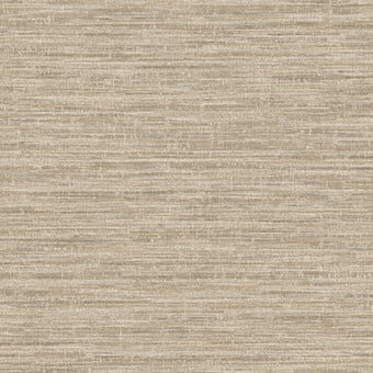 66201 Textura Rete Taupe
