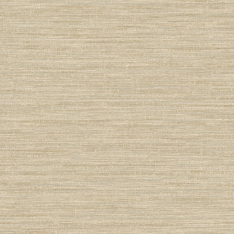 66203 Textura Rete Cream
