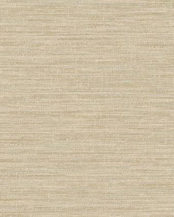 66203 Textura Rete Cream