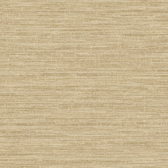 66204 Textura Rete Beige