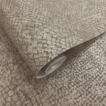 66281 Essence Boa Taupe