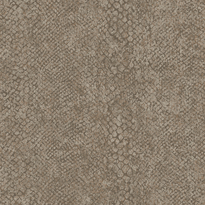 66281 Essence Boa Taupe