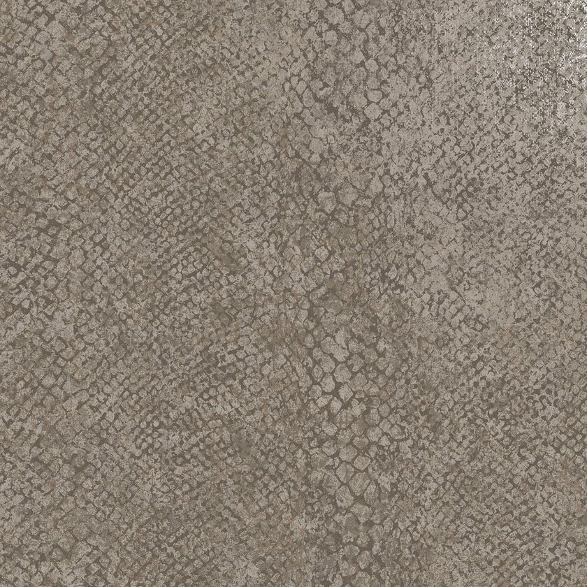 66281 Essence Boa Taupe