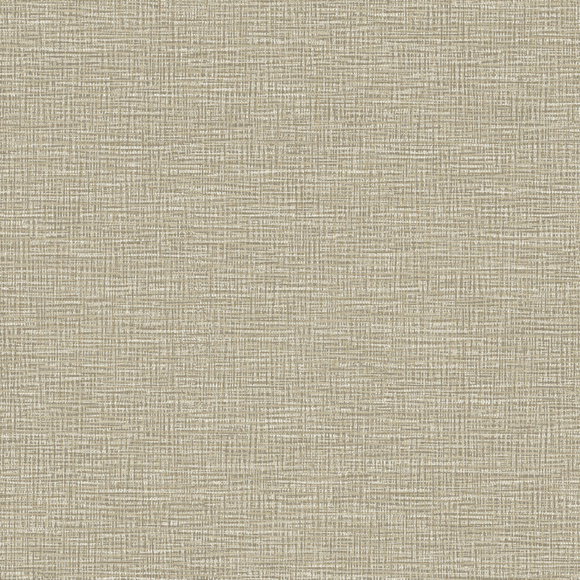 66290 Essence Brocade Cream