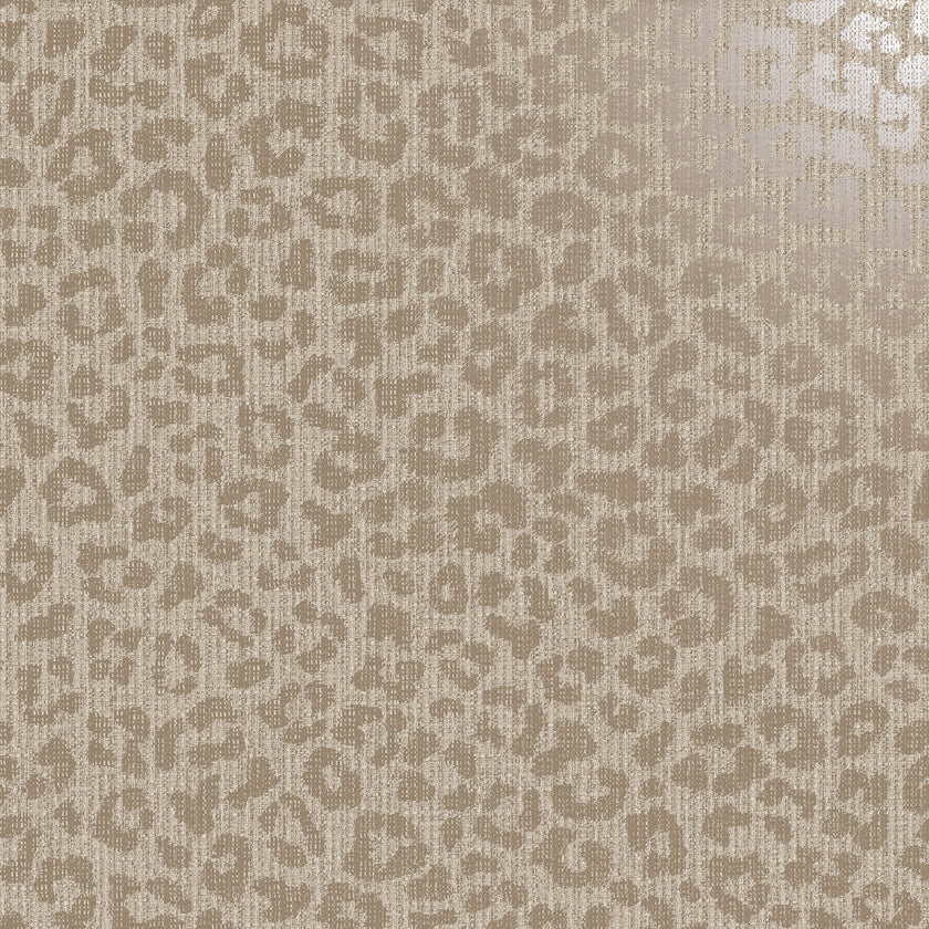 66320 Essence Anthurium Cream