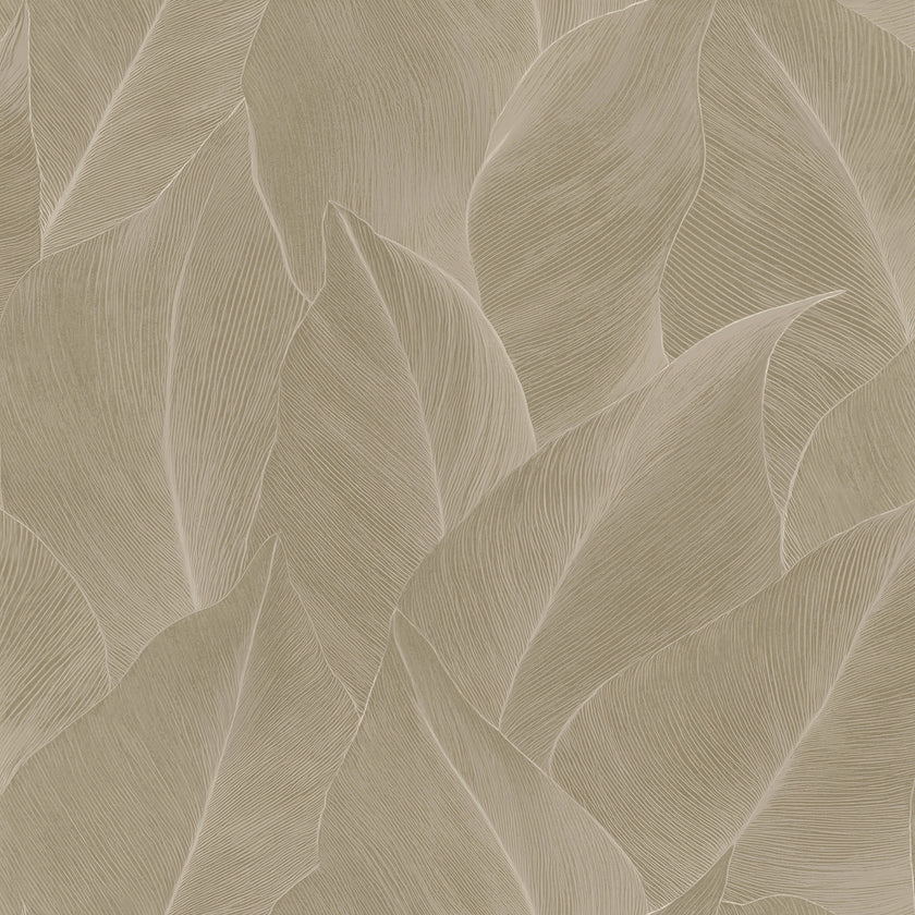 66321 Essence Anthurium Beige