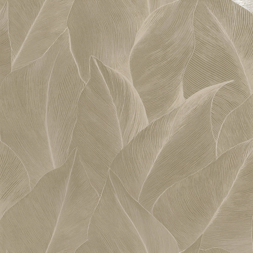 66321 Essence Anthurium Beige
