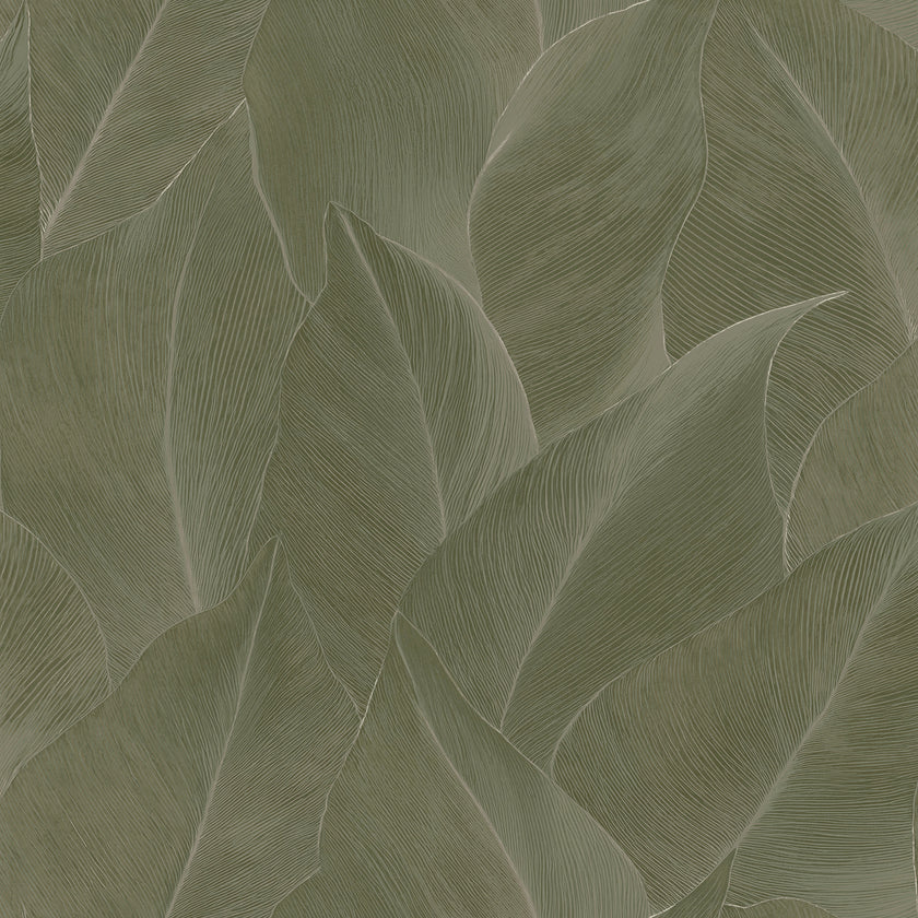 66322 Essence Anthurium Green