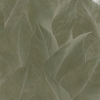 66322 Essence Anthurium Green