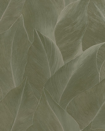 66322 Essence Anthurium Green