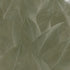 66322 Essence Anthurium Green