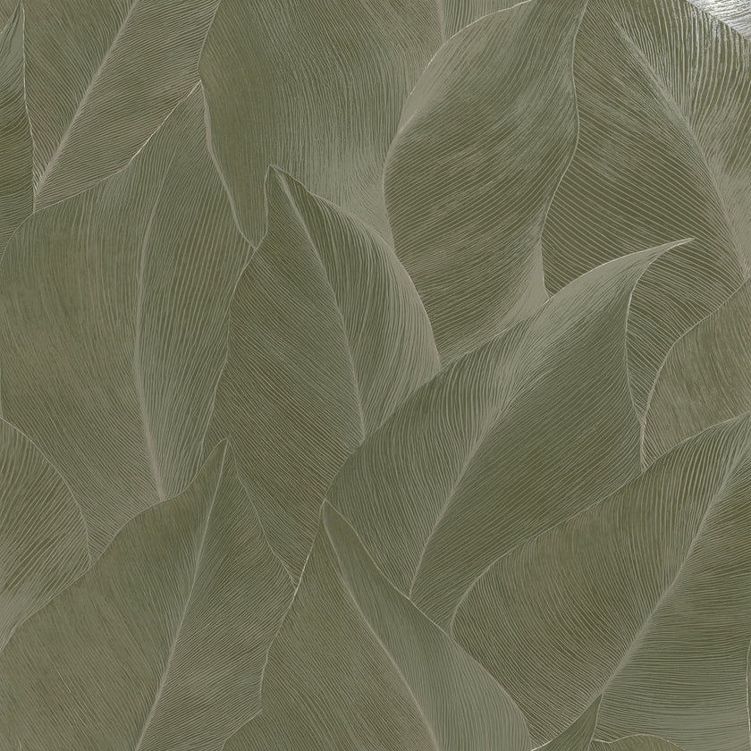 66322 Essence Anthurium Green