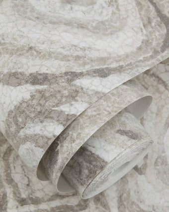 81455 Marea Roca Shell