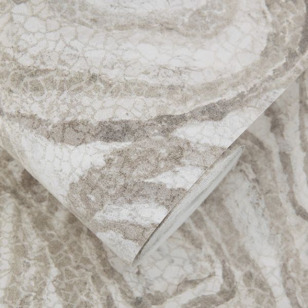 81455 Marea Roca Shell