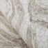 81455 Marea Roca Shell