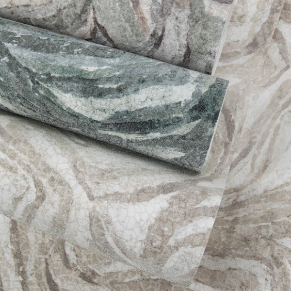 81455 Marea Roca Shell