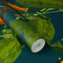 817140 Follow Us Around Exotic