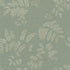 817638 Follow Us Around Fern