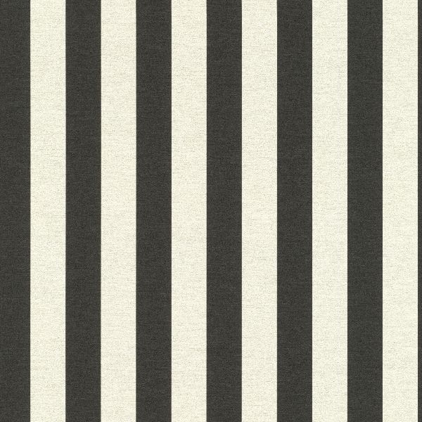 818123 Follow Us Around Stripes Black and Cream